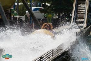 Magic Park2 Min 300x200